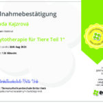Phytotherapie_für_Tiere_Teil_1