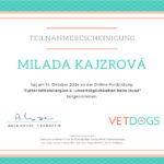 Teilnahmebescheinigung