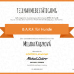 Teilnahmebestaetigung_Milada_Kajzrova